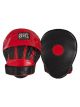 Cleto Reyes Pantera Curved Strapped Focus Mitts