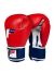 Fighting Sports Revere Boxing Gloves