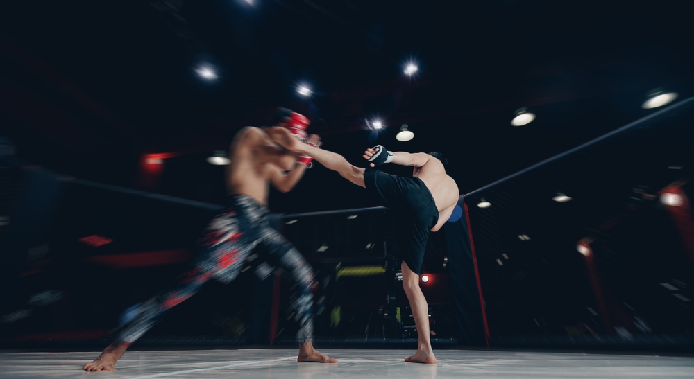 What Is MMA? & What Are Its Disciplines?
